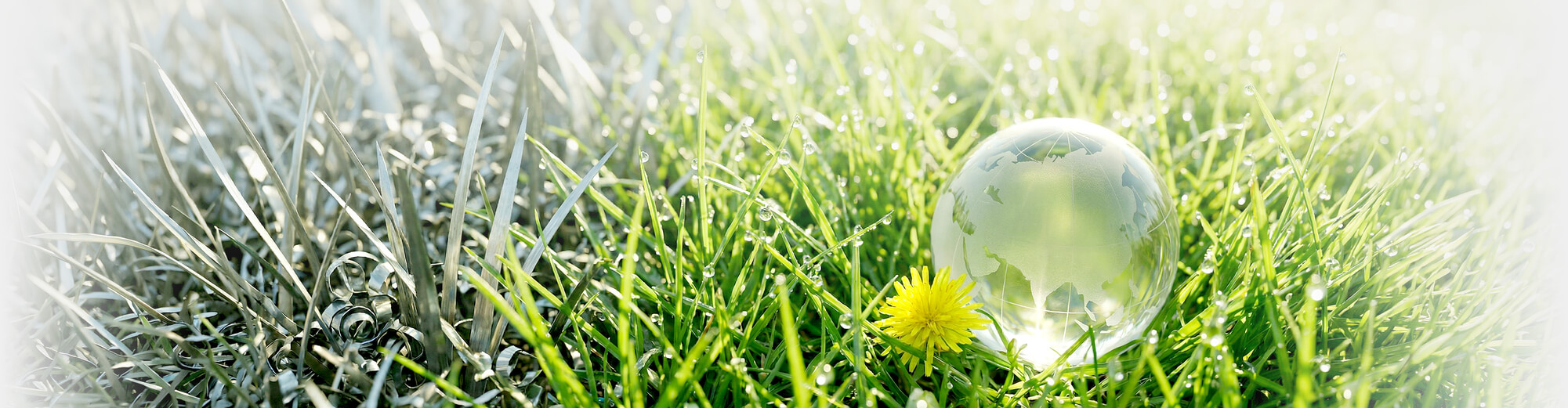 glasglobus im gras mit metallspaenen